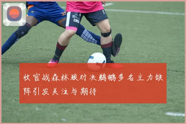 收官战森林狼对决鹈鹕多名主力缺阵引发关注与期待