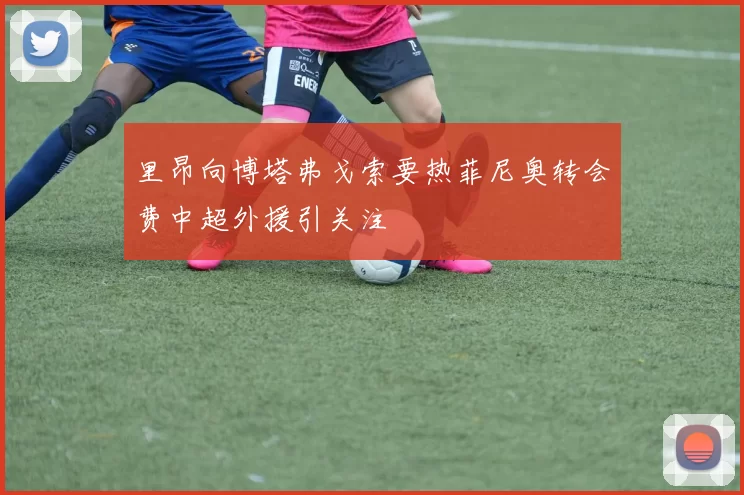 里昂向博塔弗戈索要热菲尼奥转会费中超外援引关注